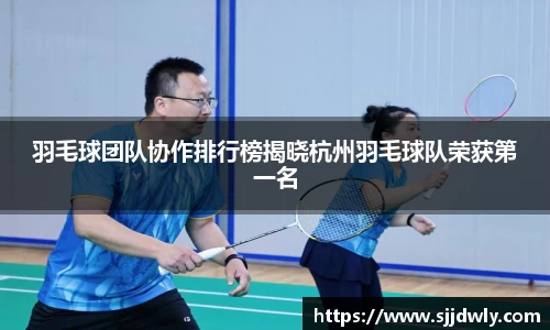 羽毛球团队协作排行榜揭晓杭州羽毛球队荣获第一名